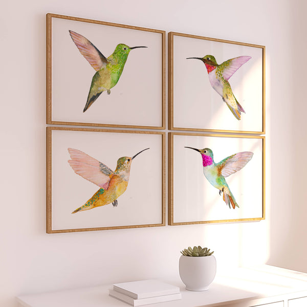 Hummingbirds Unite! ~ Set of 4