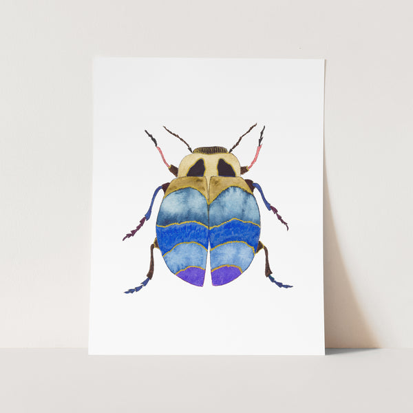 Beetle No. 25