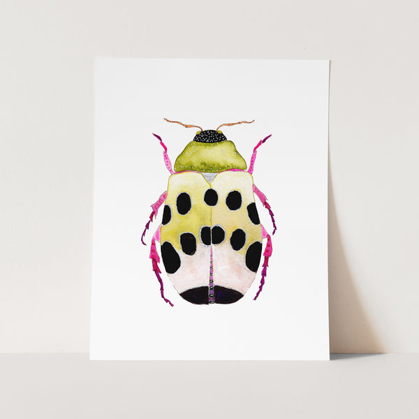 Beetle No. 31