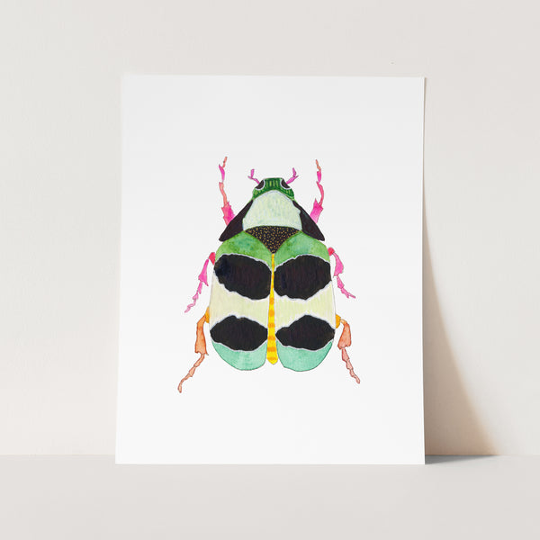 Beetle No. 32