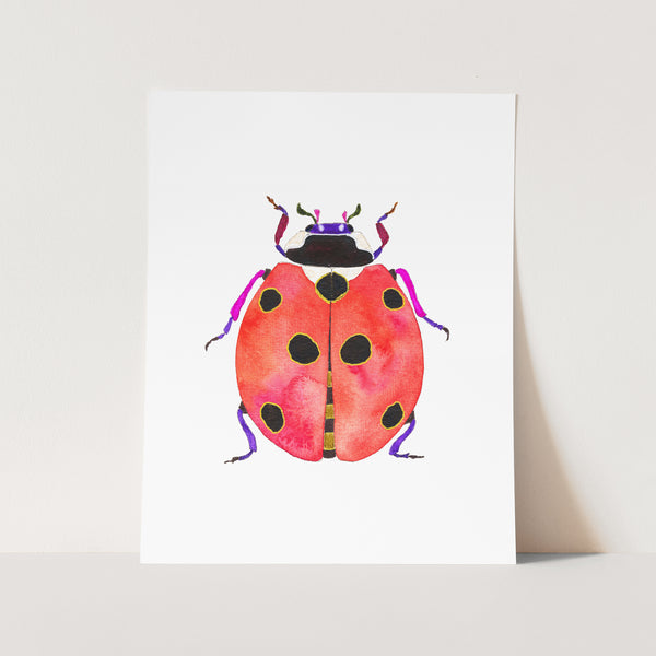 Ladybug