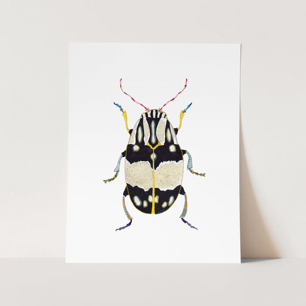 Beetle No. 12