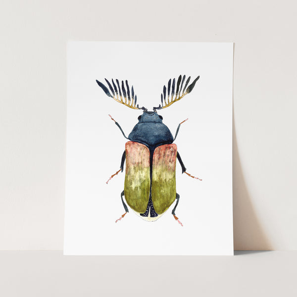 Beetle No. 7