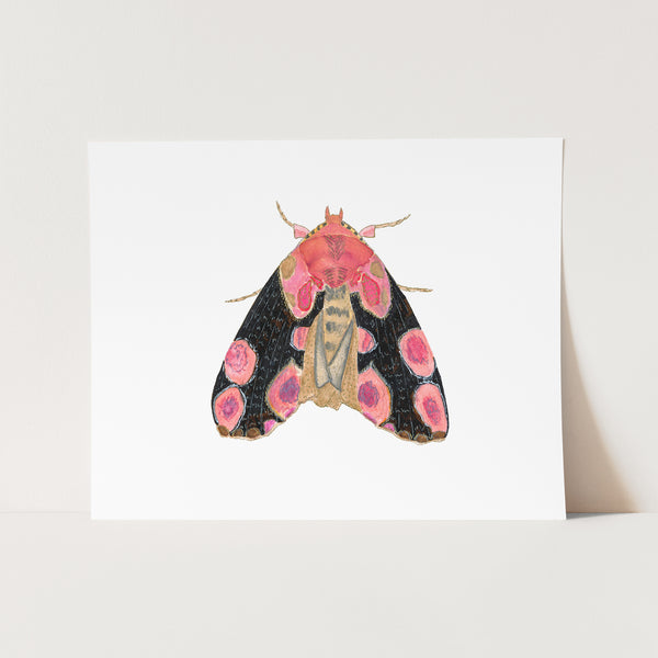 Moth No. 2