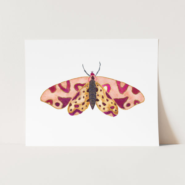 Moth No. 14