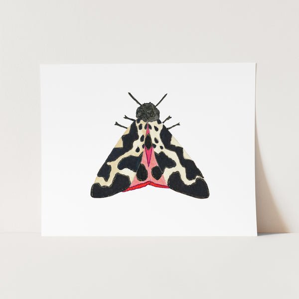 Moth No. 1